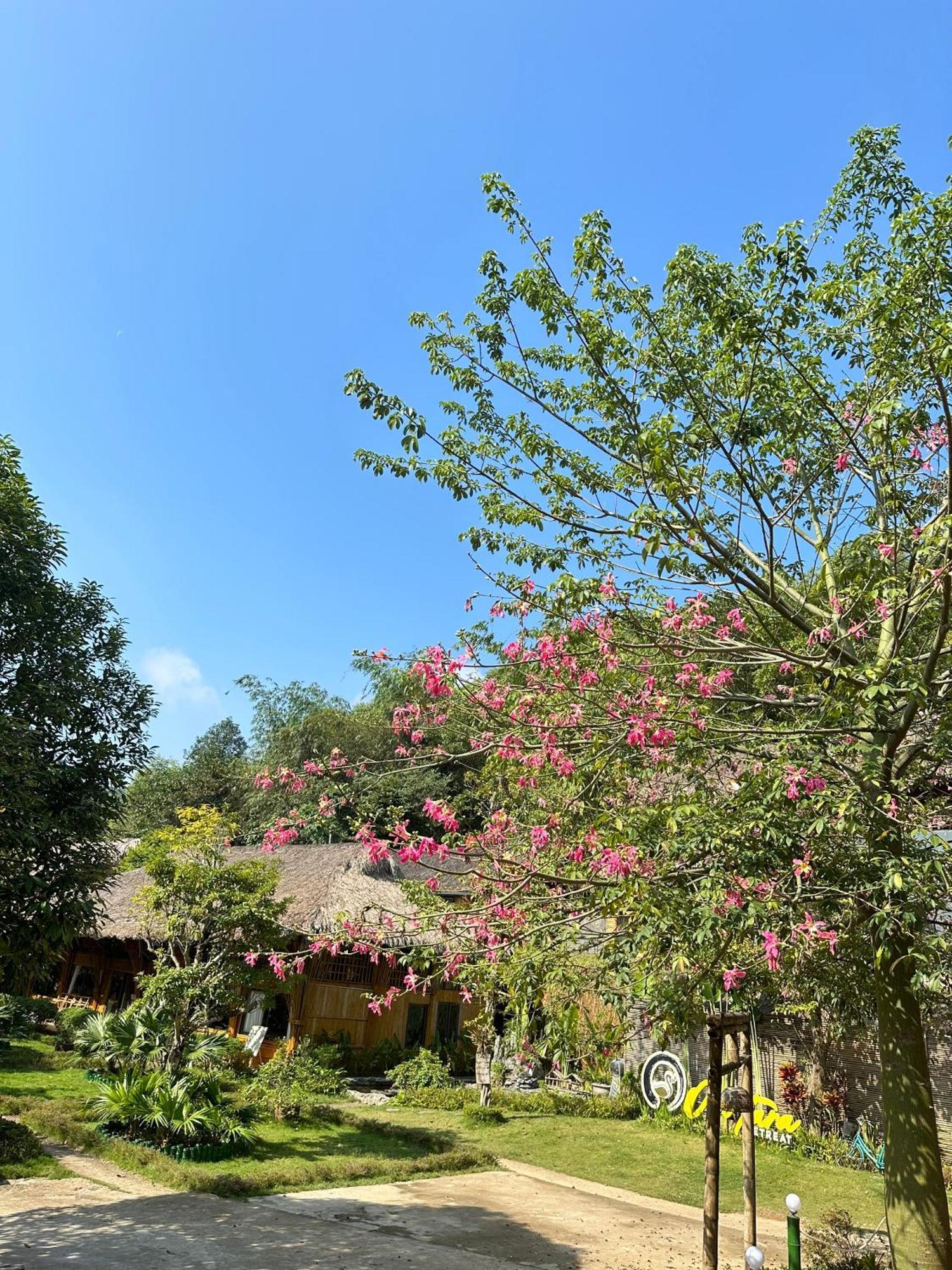 Om Tara Retreat Hotel Yen Bai Buitenkant foto